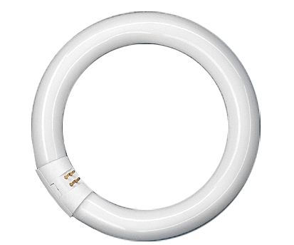 Rengasloistelamppu L 32W/840 C G10q
