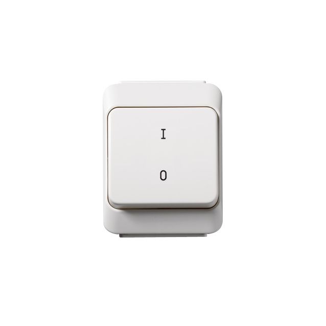 Artic pinta IP44 2-kytkin 1/0 valkoinen