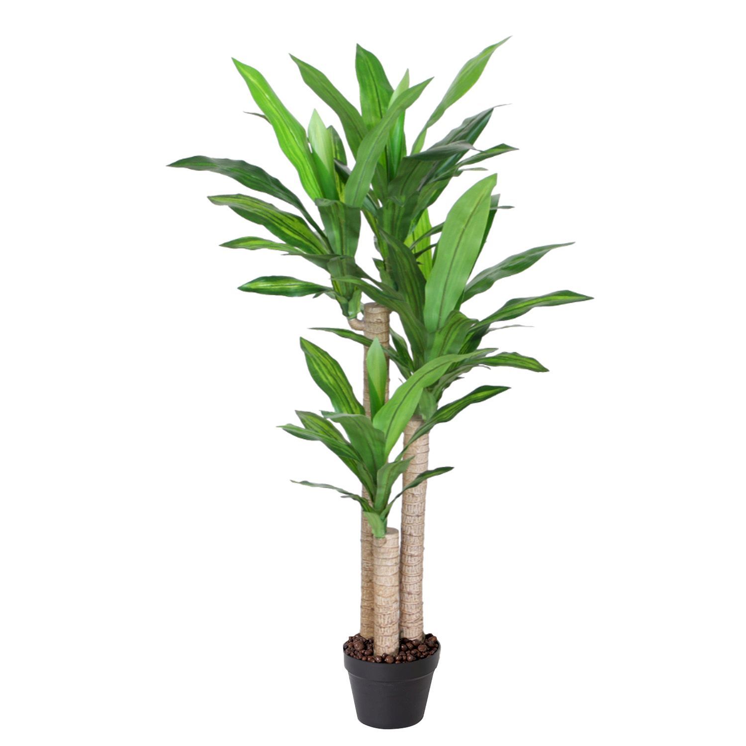 Tekokasvi Home4You Dracaena, 125cm