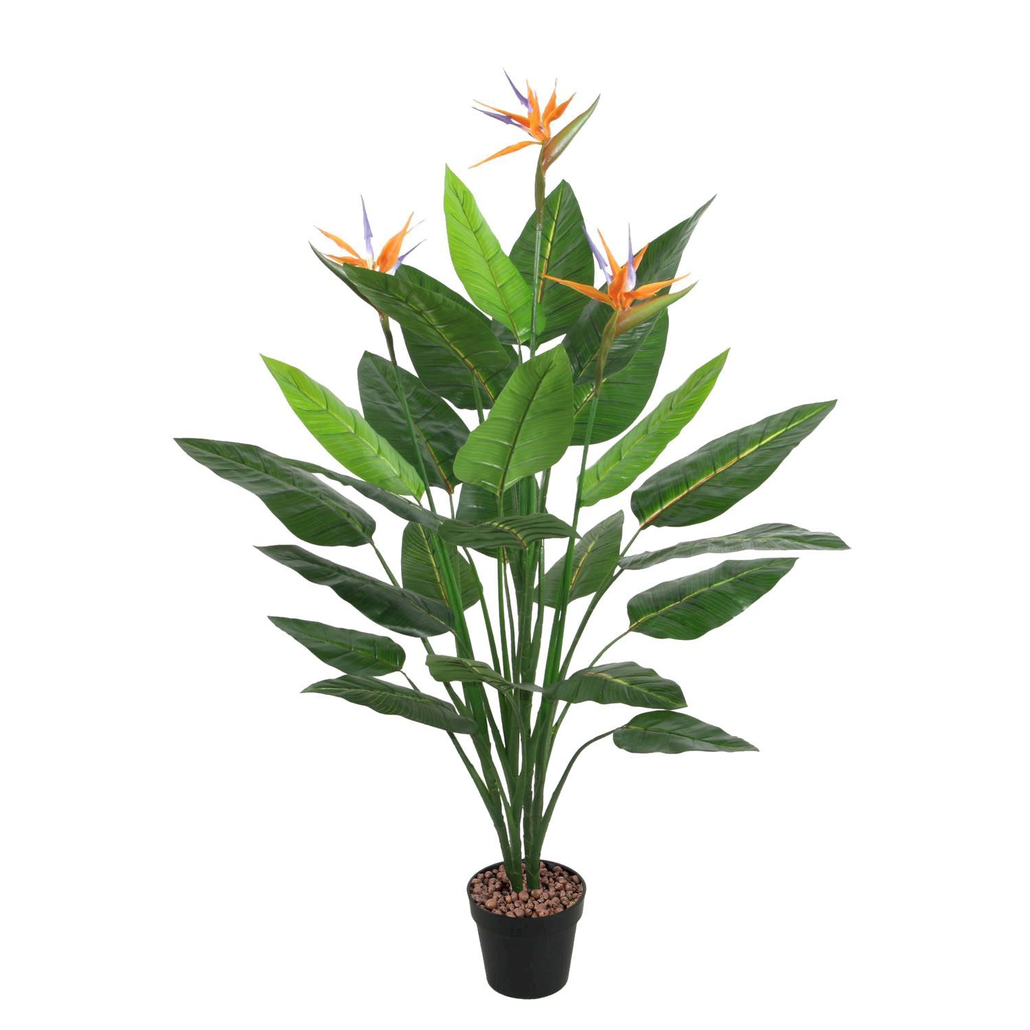 Tekokasvi Home4You Bird Of Paradise, 150cm