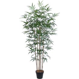 Tekopuu Home4You BAMBOO, K150 cm, 5 puunrunkoa, musta ruukku, vihreä