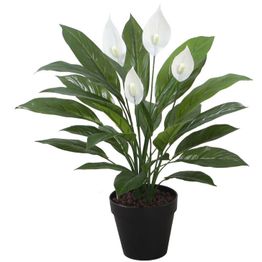 Tekokasvi Home4You SPATHE, K60 cm, musta ruukku, vihreä