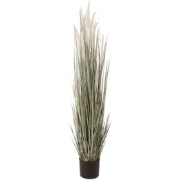 Tekokasvi Home4You GREENLAND K120 cm, ruukussa
