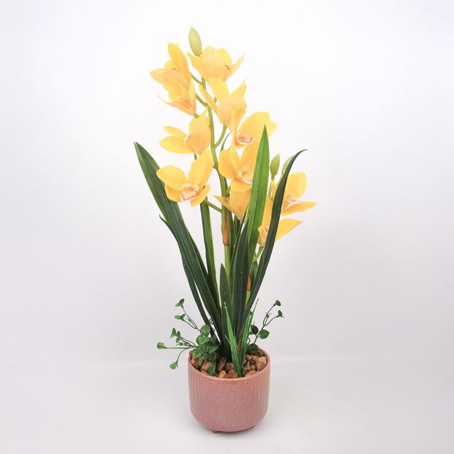 Orchid GARDEN QUEEN H70cm, yellow