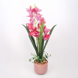 Orkidea Home4You GARDEN QUEEN K70 cm, tumma vaaleanpunainen