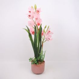 Orkidea Home4You GARDEN QUEEN K70 cm, vaaleanpunainen