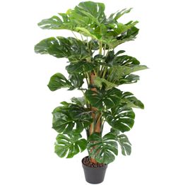 Tekopuu Home4You WIND MONSTERA K105 cm, vihreä