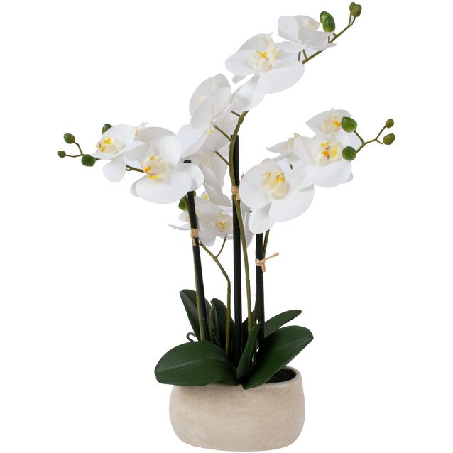 Orchid WIND IN GARDEN H55cm, white