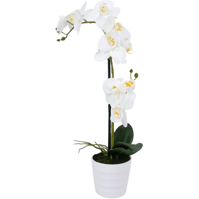 Orchid WIND IN GARDEN H51cm, white