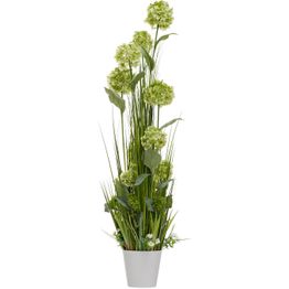 Tekokukka Home4You IN GARDEN K120 cm, vihreä hortensia, ruohokasvi ruukulla