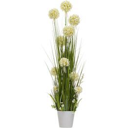 Tekokukka Home4You IN GARDEN K120 cm, valkoinen hyasintti, ruohokasvi ruukulla