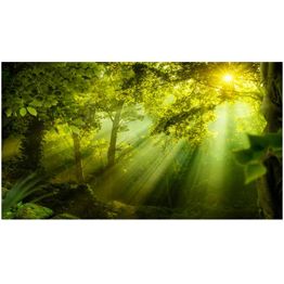 Maisematapetti Artgeist  In a Secret Forest II, metsä, 500x280cm
