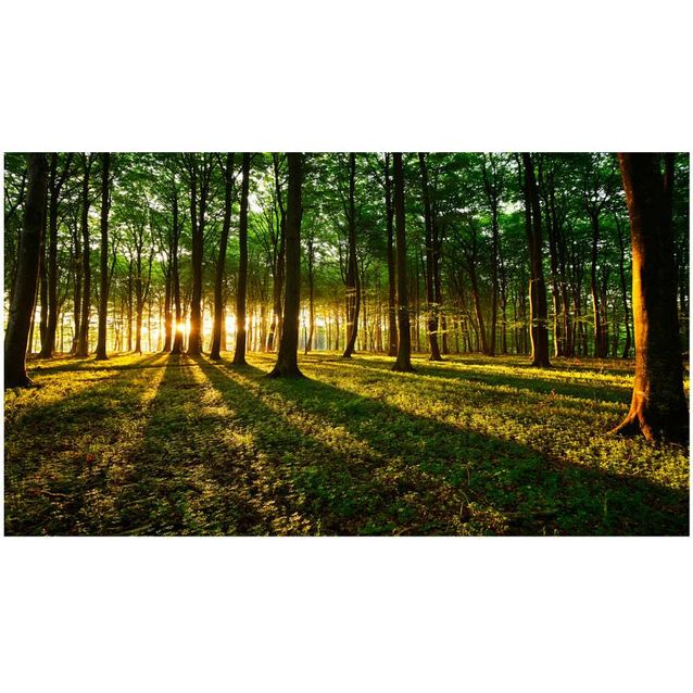 Sisustustarra Artgeist Mystical Morning II 280x490cm