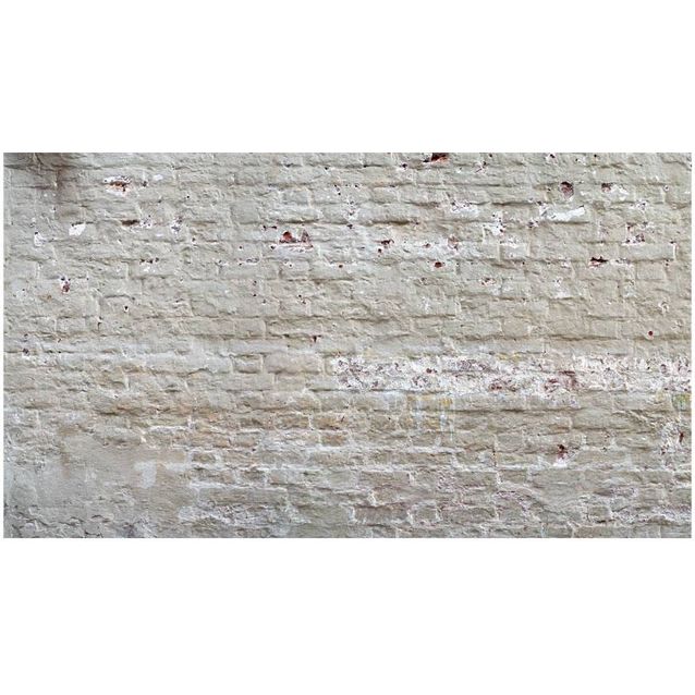 Sisustustarra Artgeist Hidden Harmony II 280x490cm