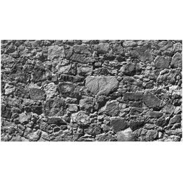 Sisustustarra Artgeist Tempus fugit II 280x490cm