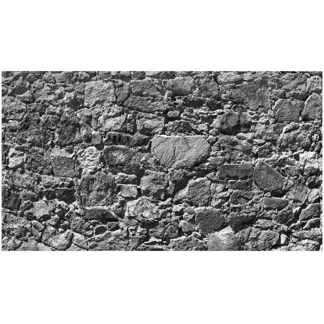 Sisustustarra Artgeist Tempus fugit II 280x490cm