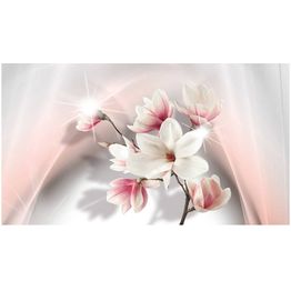 Kuvatapetti Artgeist White Magnolias II 500x280cm