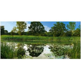 Sisustustarra Artgeist The Magic Pond III 280x588cm