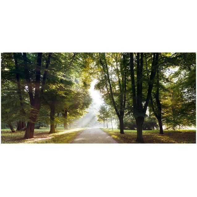 Sisustustarra Artgeist Morning Walk III 280x588cm