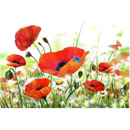 Kuvatapetti Artgeist Country poppies, 270x400cm, punainen