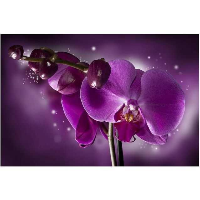 Kuvatapetti Artgeist Fairy tale and orchid 270x450cm