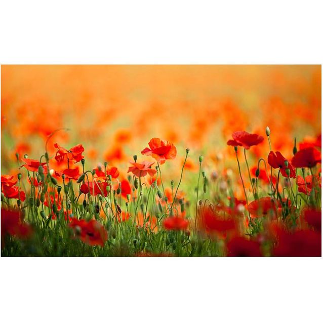 Kuvatapetti Artgeist Unikot kesäpäivänä 270x450cm