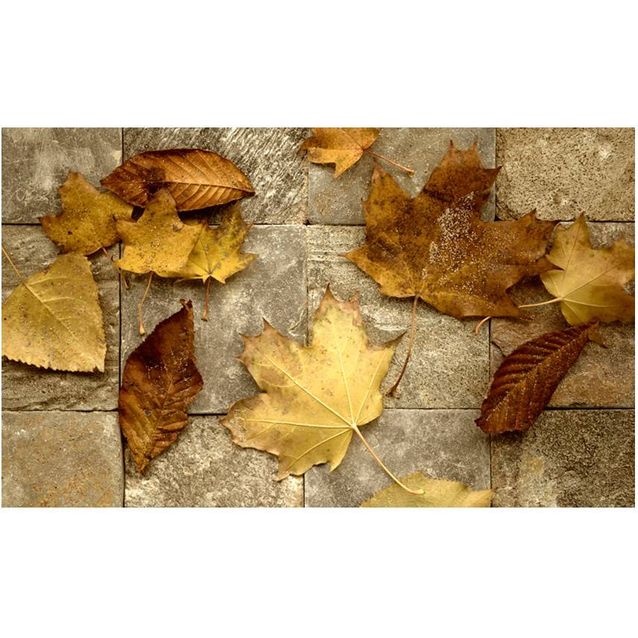 Kuvatapetti Artgeist Harbinger syksyllä 270x450cm