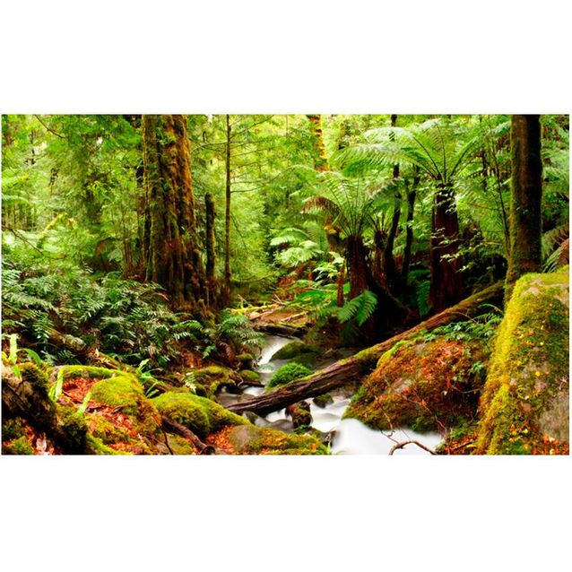 Kuvatapetti Artgeist Rainforest 270x450cm