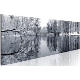 Canvas-taulu Artgeist landscape: winter, eri kokoja