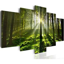 Canvas-taulu Artgeist Peace of Mind, eri kokoja