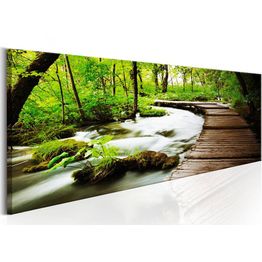 Canvas-taulu Artgeist Forest Song, eri kokoja