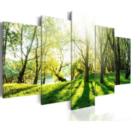 Canvas-taulu Artgeist Green Glade, eri kokoja