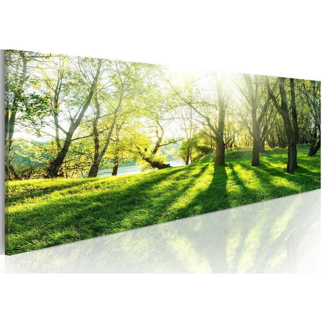 Taulu Artgeist Rays of Sunshine eri kokoja