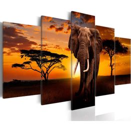 Canvas-taulu Artgeist The Savannah King, eri kokoja