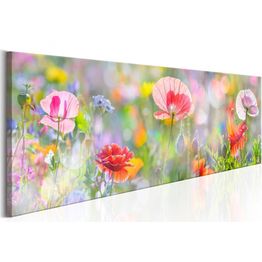 Canvas-taulu Artgeist Rainbow of Morning Poppies, eri kokoja