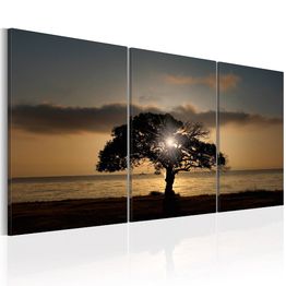 Canvas-taulu Artgeist Extraordinary Nature, 60x120cm