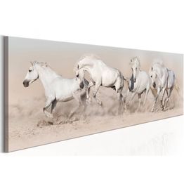 Canvas-taulu Artgeist Wild Beauty, eri kokoja