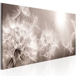 Canvas-taulu Artgeist Summer Dandelions, eri kokoja