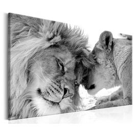 Canvas-taulu Artgeist Lion's Love, eri kokoja