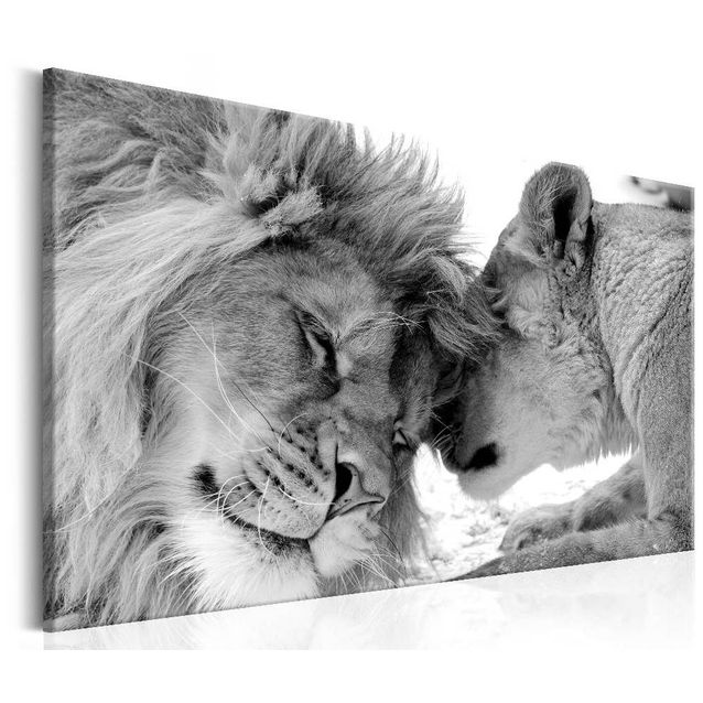 Taulu Artgeist Lion's Love eri kokoja