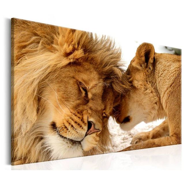 Taulu Artgeist Love's Secret eri kokoja