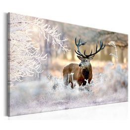 Canvas-taulu Artgeist Deer in the Cold, eri kokoja