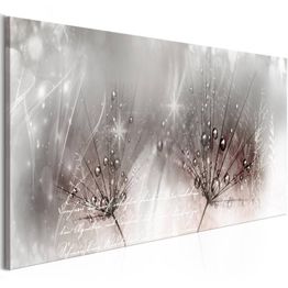 Canvas-taulu Artgeist Drops of Dew, eri kokoja