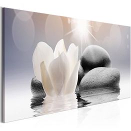 Canvas-taulu Artgeist Pebbles in Water, eri kokoja