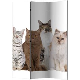 Sermi Artgeist Sweet Cats 135x172cm