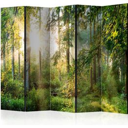 Sermi Artgeist Untamed Nature II 225x172cm