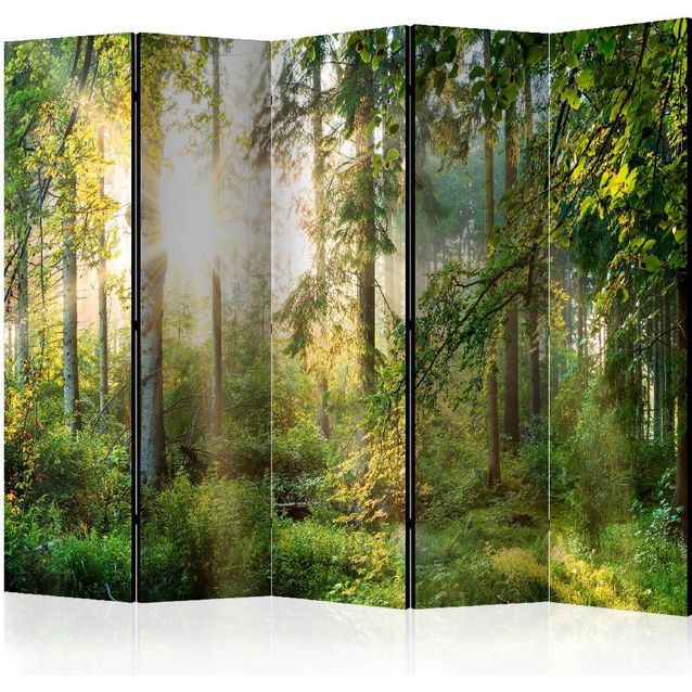 Sermi Artgeist Untamed Nature II 225x172cm