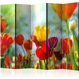 Sermi Artgeist Spring Tulips II 225x172cm