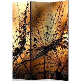 Sermi Artgeist Dandelions in the Rain 135x172cm