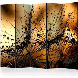 Sermi Artgeist Dandelions in the Rain II 225x172cm